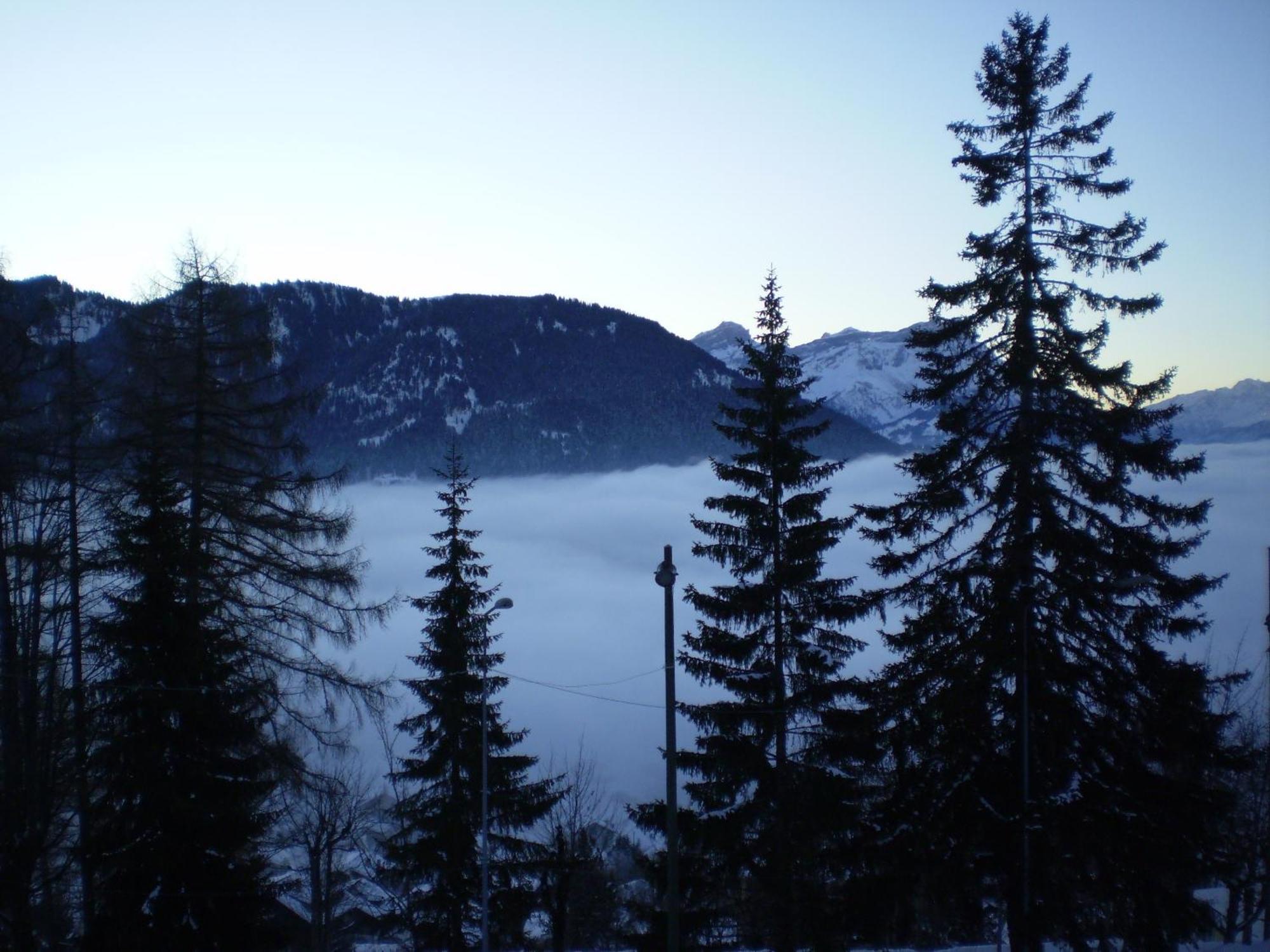 Résidences du Chamossaire Leysin Esterno foto